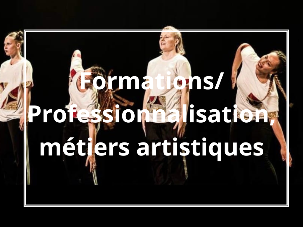 Formations/Professionnalisation, métiers artistiques